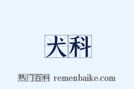 犬科是什么意思的图片